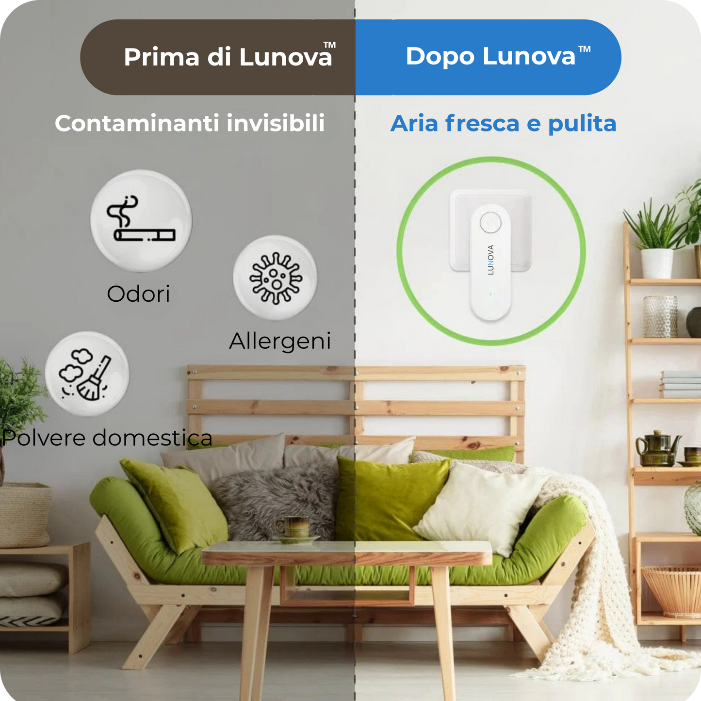 Purificatore d’aria — elimina gli odori del cane e i parassiti