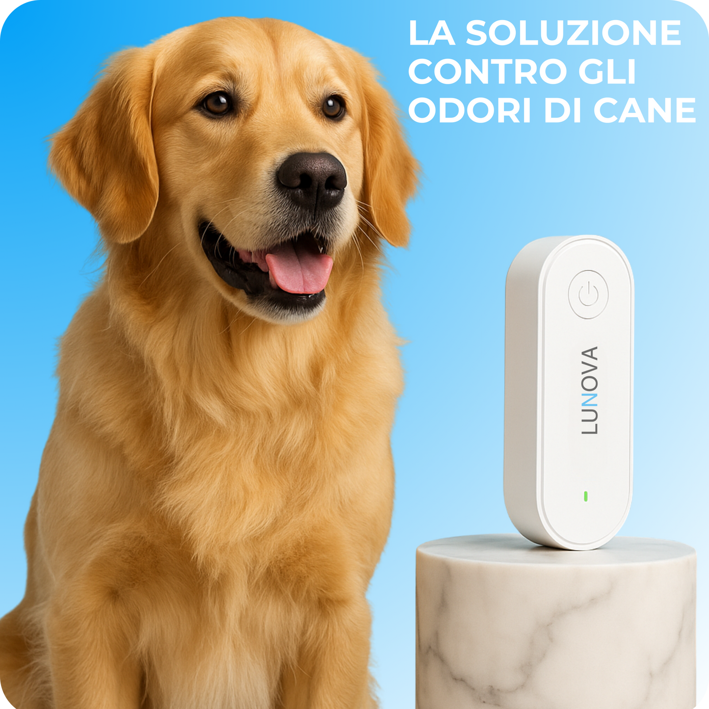 Purificatore d’aria — elimina gli odori del cane e i parassiti