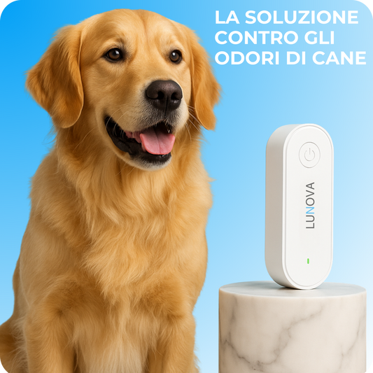 Purificatore d’aria — elimina gli odori del cane e i parassiti